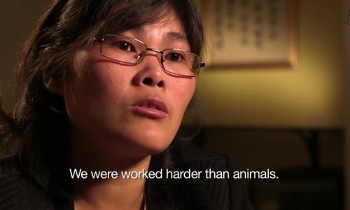 瑞珠滴眼液的功效-瑞珠护眼喷雾有效果吗、瑞珠护眼喷雾有效果吗 -瑞珠天天明滴眼液图片网