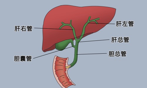 瑞珠滴眼液一旦用了就不能停吗-瑞珠护眼喷雾有效果吗、瑞珠护眼喷雾有效果吗 -瑞珠天天明滴眼液图片网